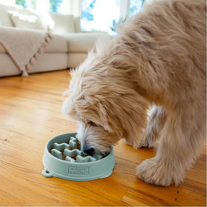 Outward Hound Fun Feeder Slo Bowl Dog Slow Feeder, Notch, Sage, 9.1" | Slows Fast Eaters, Can Aid Digestion, Holds 2 Cups Dry or Wet Food, Non-Slip Base, Easy Clean, No BPA, Small to Medium Dogs - Image 6