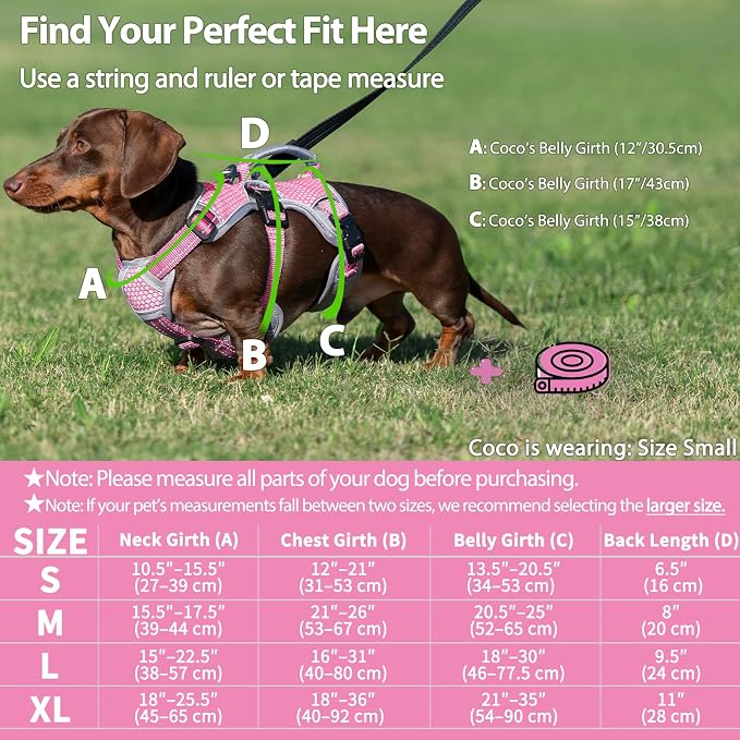 Escape Proof Dog Harness, Dachshund Harness, Reflective Dog Harness with Handle, Durable,Adjustable Vest for Small Medium Large Dogs Walking, Training, and Running Gear (Pink,M) - Image 6