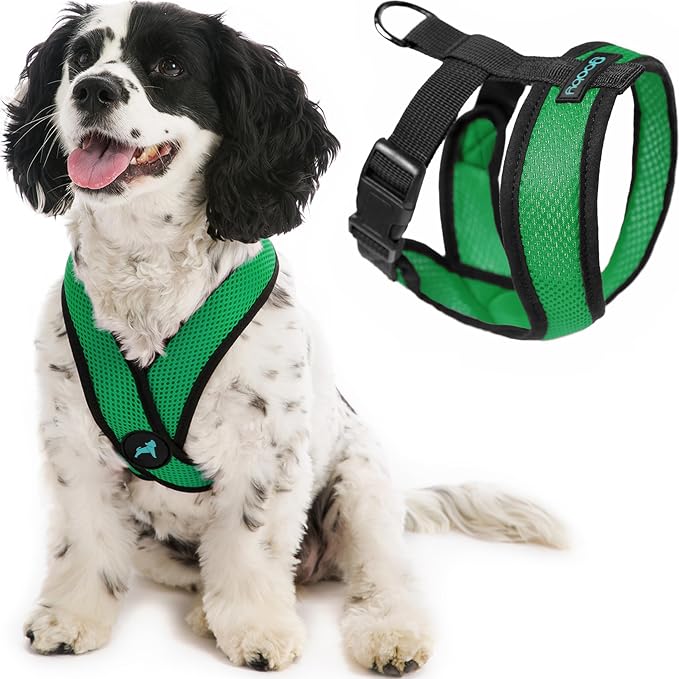 Gooby Comfort X Head-in Dog Harness, Choke-Free, Hunter Green, Large | Patented choke-free X-frame; Secure head-in fit; Lightweight breathable mesh; Back metal D-ring; Machine washable by Gooby