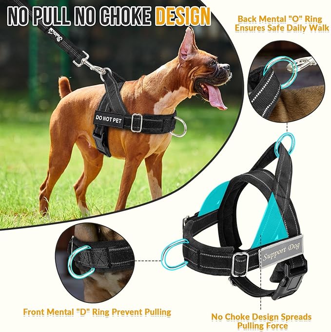 Lukovee No Pull Dog Harness and Leash Set, Soft Padded Vest with Front Clip | Adjustable, No Choke, Reflective,Durable Easy Control Pet Vest Harness for Safe Walking for Medium Large Dogs (Black, XL) - Image 2
