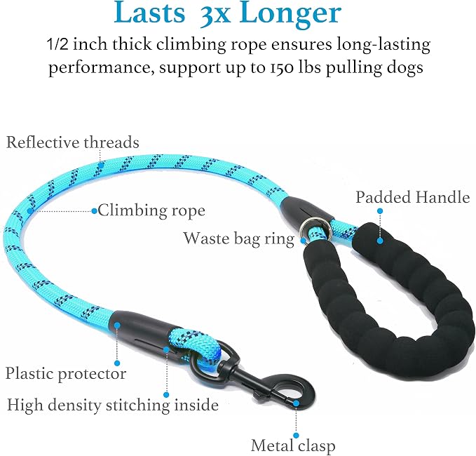 Double Dog Leash, 360° Swivel, No Tangle, Large, 25-150 lbs, Blue | Dual Leash for Two Dogs, Split Leash, Shock-Absorbing Bungee, Padded Handle, Heavy-Duty Rope - Image 3
