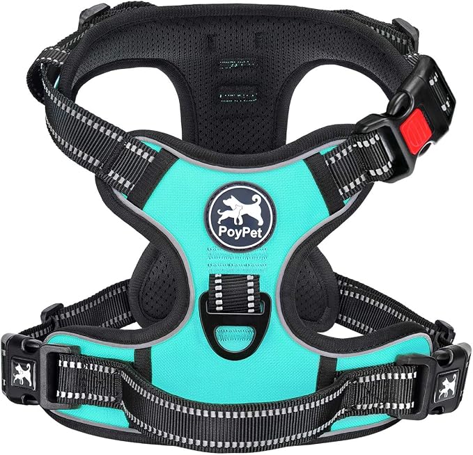 PoyPet No Pull Dog Harness Small with Front Clip & Neck Release Buckle | No Choke, Adjustable Vest, Reflective, Back Clip, Lockable, Soft Padded Handle for Walking Training, XS, Mint Blue by PoyPet
