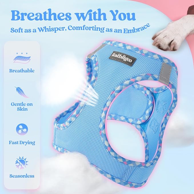 rabbitgoo Dog Harness Small Sized and Leash Set, Step-in Puppy Pet Vest | Light, Soft, Breathable Air Mesh, Easy on and Remove with Hook & Loop, Secure Reflective for Walking, Blue & Plaid Trim M - Image 3