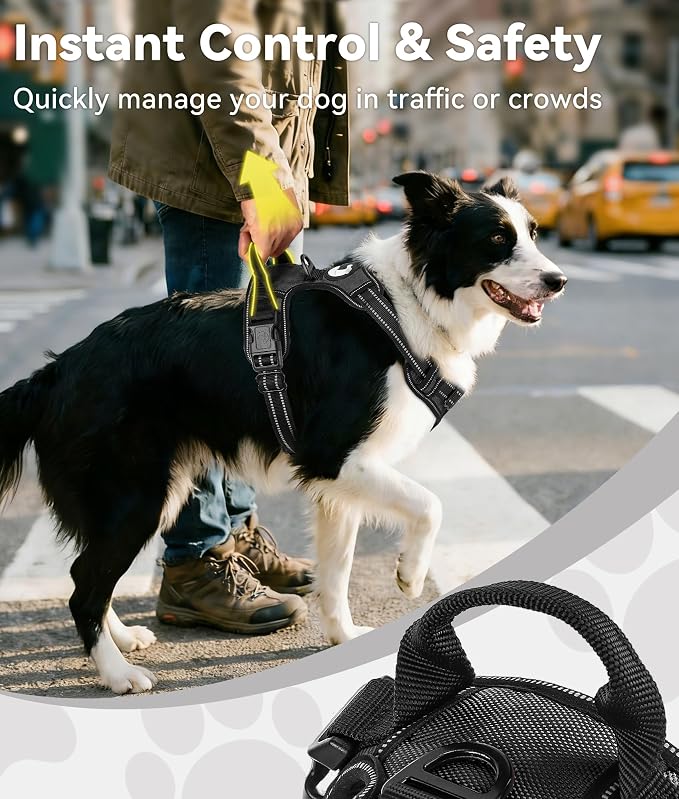Joytale No Pull Dog Harness Medium Sized Dog, Front Clip, Black | Grab Handle for Instant Control, Padded & Adjustable Vest, Sturdy Metal D-Rings, for Safe Training & Daily Walking - Image 3