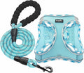 haapaw Dog Harness with Leash Set, No Pull Adjustable Reflective Step-in Puppy Harness with Thickened Padded Vest for Extra-Small/Small Medium Dogs by haapaw