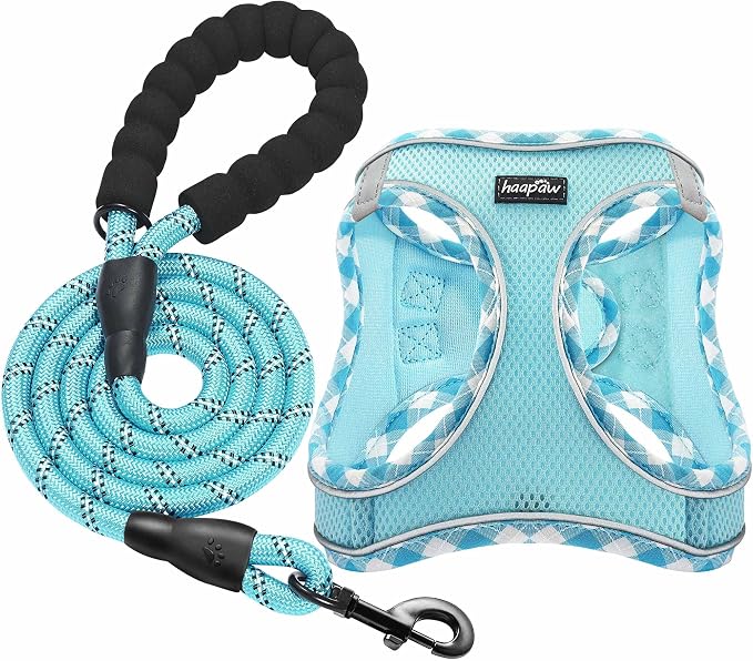 haapaw Dog Harness with Leash Set, No Pull Adjustable Reflective Step-in Puppy Harness with Thickened Padded Vest for Extra-Small/Small Medium Dogs by haapaw