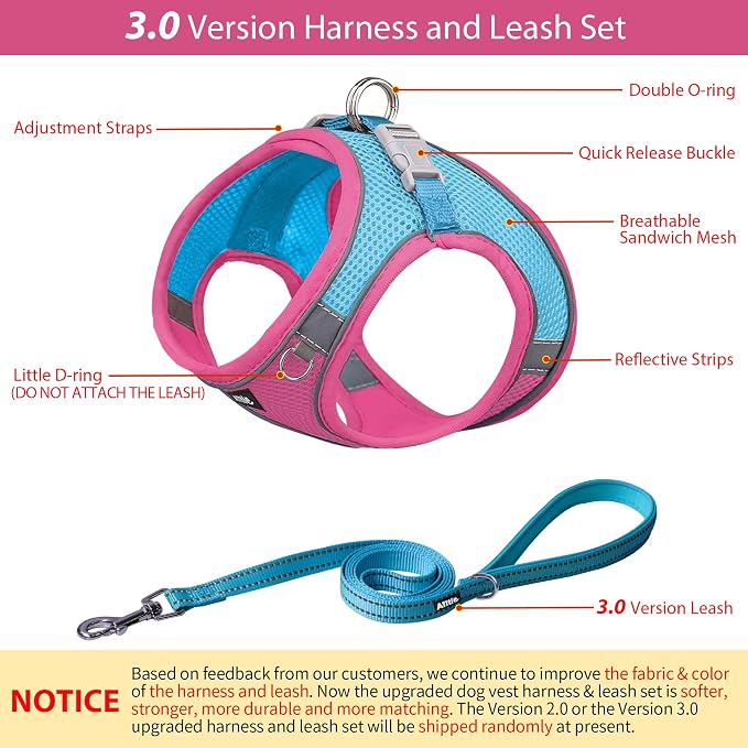 AIITLE Dog Harness and Leash Set, Step-in Puppy Pet Vest, Hot Pink M | Breathable Mesh, Adjustable Fit, Reflective Design, Padded Leash Handle, for Small-Medium Dogs & Cats, Walking, Training - Image 3