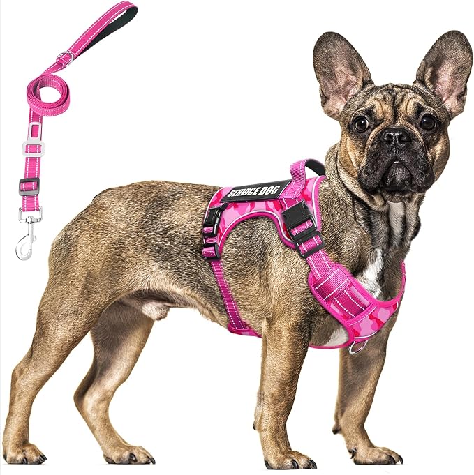 Tactical Dog Harness and Leash Set with 10 Patches for Large Dogs | Heavy Duty No Pull Service Dog Vest with Dog Seat Belt ,Adjustable Reflective Easy Walk for Training Hiking Camo Pink L by MOOGROUPETSFRIEND