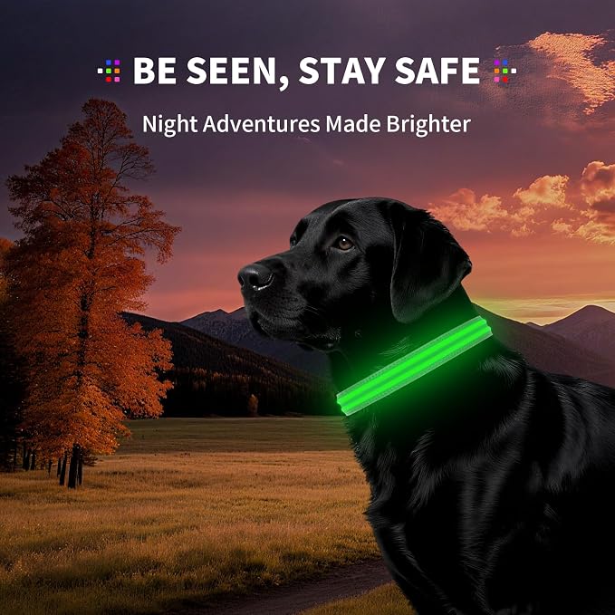 Light Up Dog Collar for Night Walking, Reflective LED Collar(Green, Medium) | Bright Safety Glow in the Dark, Adjustable Comfort Fit, Waterproof, Long Runtime, Easy USB-C Charging - Image 7