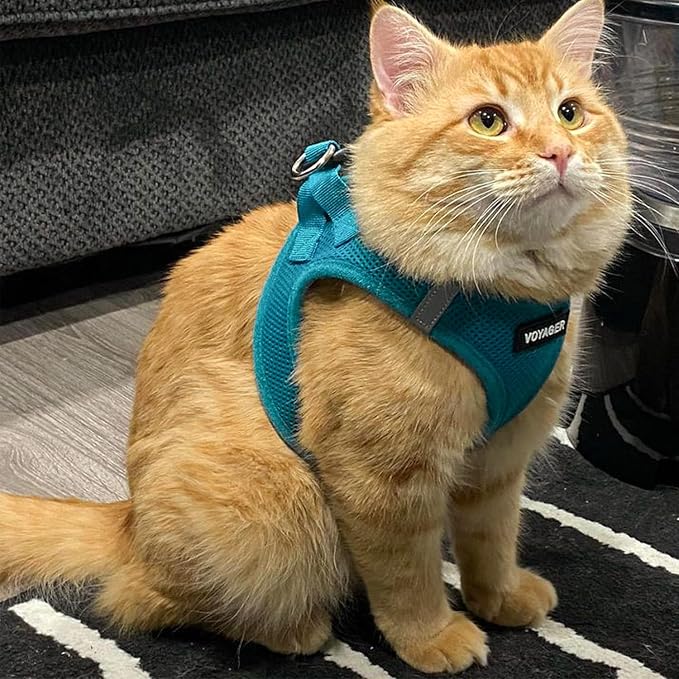 Voyager Step-in Air Cat Harness & Leash Set - Turquoise, S | 14 - 16" in Chest, Reflective Bands, All Weather Breathable Air Mesh, Cats Compatible, Fast Drying - Image 7