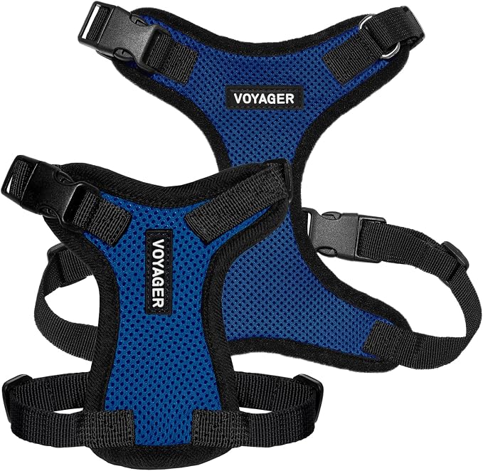 Voyager Step-in Lock Dog Harness - Royal Blue/Black Trim, Medium | 17 - 21" in Chest, Adjustable, Breathable Air Mesh, Lightweight for Daily Walks, Strong Clips, Heavy Duty D-Ring - Image 6