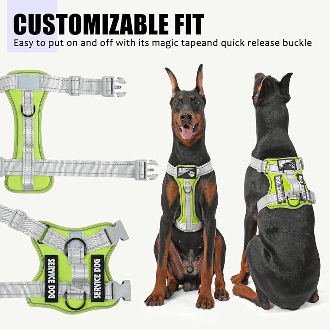 Service Dog Harness - Image 4