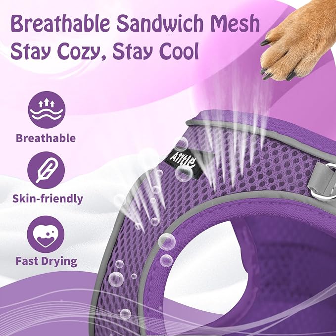 AIITLE Dog Harness and Leash Set, Step-in Puppy Pet Vest, Pure Purple XXXS | Light, Soft, Breathable Air Mesh, Escape-Proof, Easy on and Remove with Hook & Loop, Secure Reflective for Walking - Image 4