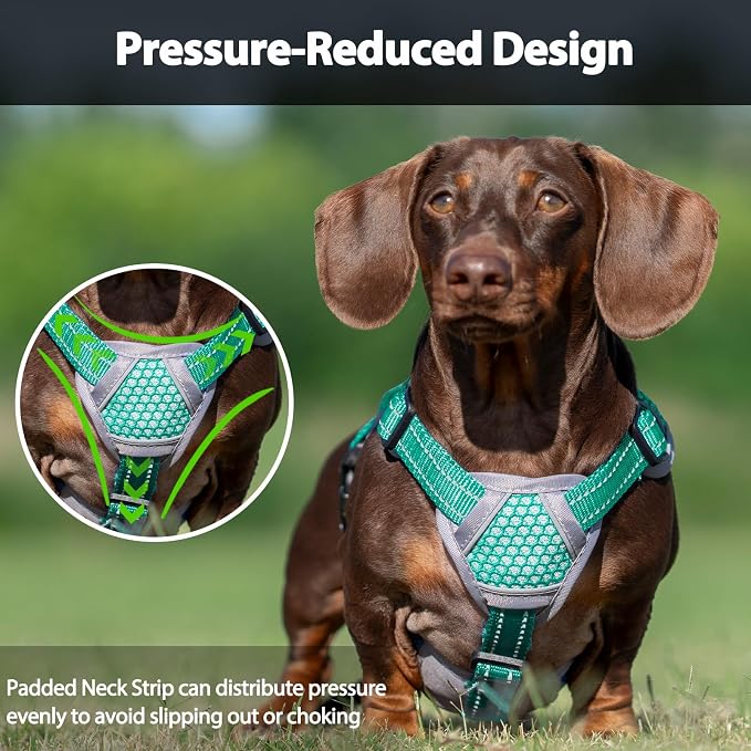 Escape Proof Dog Harness, Dachshund Harness, Reflective Dog Harness with Handle, Durable,Adjustable Vest for Small Medium Large Dogs Walking, Training, and Running Gear (Mint Green,XL) - Image 5