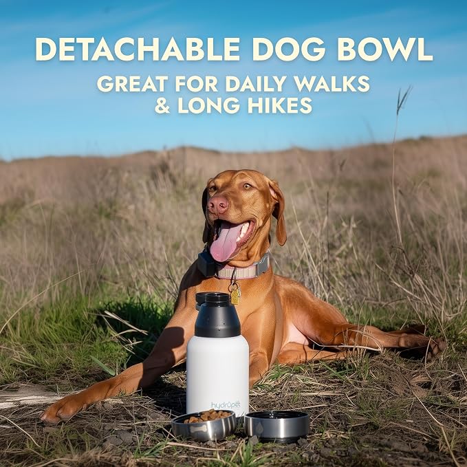 Hydropet Portable Dog Water Bottle (32 oz) - Insulated Dogs & Cats Travel Bottles, Stainless Steel - Detachable Dog Food Bowl and Water Bowl - Great for Daily Walks - Puppy Essentials & Accessories - Image 4