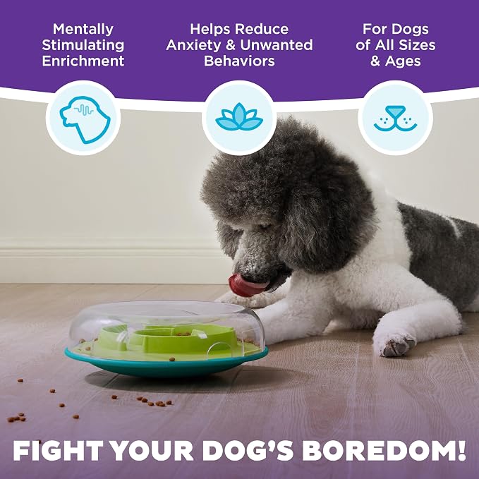 Outward Hound by Nina Ottosson Wobble Bowl Slow Feeder Dog Puzzle, Level 1 Beginner, 11.6 inches x 3.5 inches, Multicolored | Level 1 Easy, Holds 1 Cup Kibble or Treats, Easy Clean, No BPA, Turns Meals into Interactive Game, Enrichment, Dogs & Puppies - Image 3