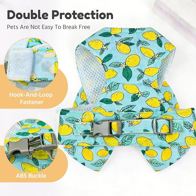BAEJMJK Dog Harness and Leash Set with Bow Knot No Pull Pet Daisy Floral Harness with D-Ring Soft Mesh Dog Harness Vest Set Escape Proof Princess Puppy Harness for Small Girl Dogs Cats（Green M） - Image 6