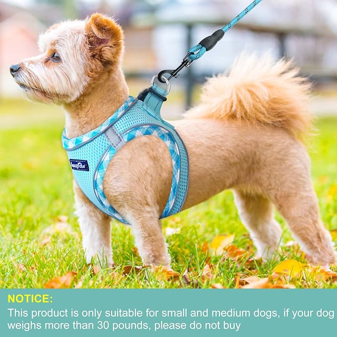 haapaw Dog Harness with Leash Set, No Pull Adjustable Reflective Step-in Puppy Harness with Thickened Padded Vest for Extra-Small/Small Medium Dogs - Image 4