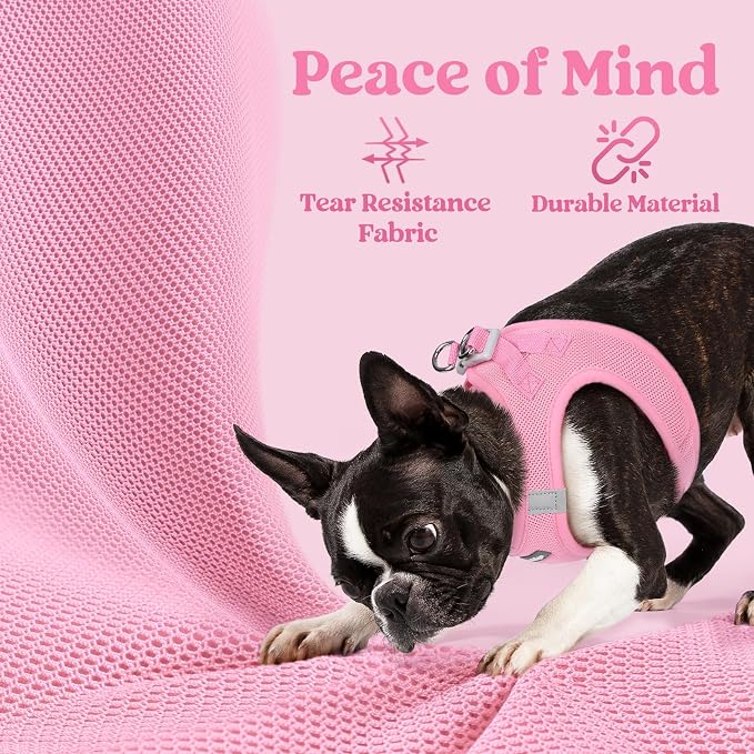 rabbitgoo Step-in Small Dog Harness, Puppy Vest for Medium Sized Pet | Easy Put on and off, Lightweight, Soft, Breathable Quick-Dry Air Mesh for Comfortable Secure Walking, Light Pink XXL - Image 4