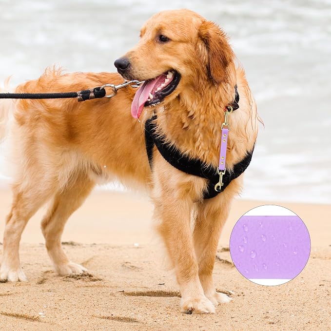 PetBonus Dog Collar Safety Clip, Waterproof Backup Safety Strap | Prong Collar to Harness Connector, Escape Proof, Odor Proof, Easy to Clean, Double Ended Clasp for Training Walking, Purple - Image 3