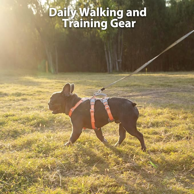 Escape Proof Dog Harness, No Pull Reflective Harness with Lift Handle, Adjustable Pet Vest with Front and Back Leash Clips for Small Medium Large Dogs Walking Hiking Training (Orange,XL) - Image 7