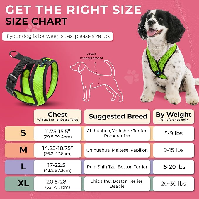 Gooby Comfort X Head-in Dog Harness, Choke-Free, Green, Small | Patented choke-free X-frame; Secure head-in fit; Lightweight breathable mesh; Back metal D-ring; Machine washable - Image 5