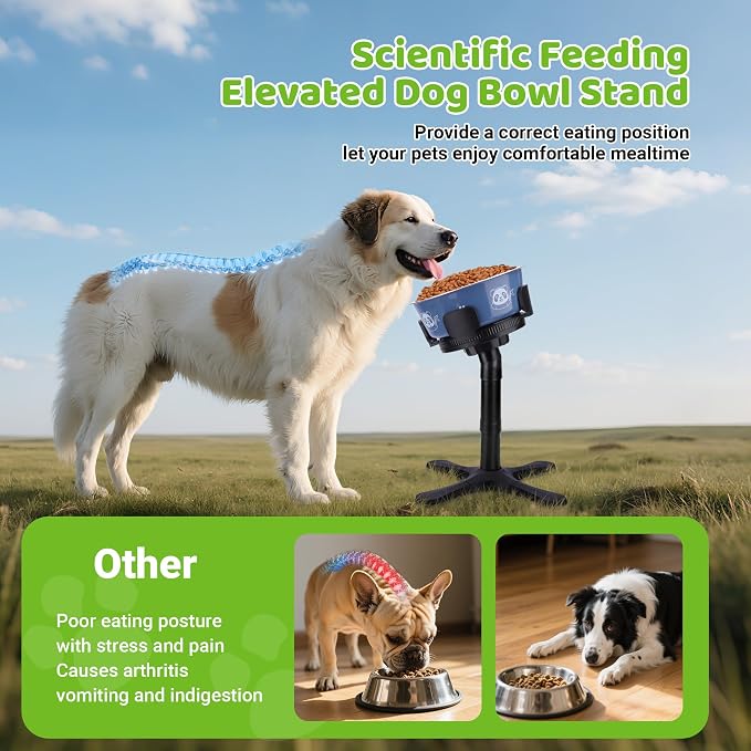 Dog Bowls Elevated Adjustable Stand, Raised Bowl with 3 Heights & Tilted Feeding Stand, Compatible with Various Bowls, for Medium & Large Breeds (with Bowl) Black - Image 3
