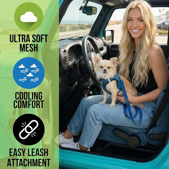 EcoBark Step in Dog Harness - Eco-Friendly Teacup Dog Harnesses for XXS, XS, and Small Dogs - Reflective and Adjustable Mini Body Halter Vest -Tiny Soft Mesh Toy Breed Harness (Bright Blue, XXS) - Image 2