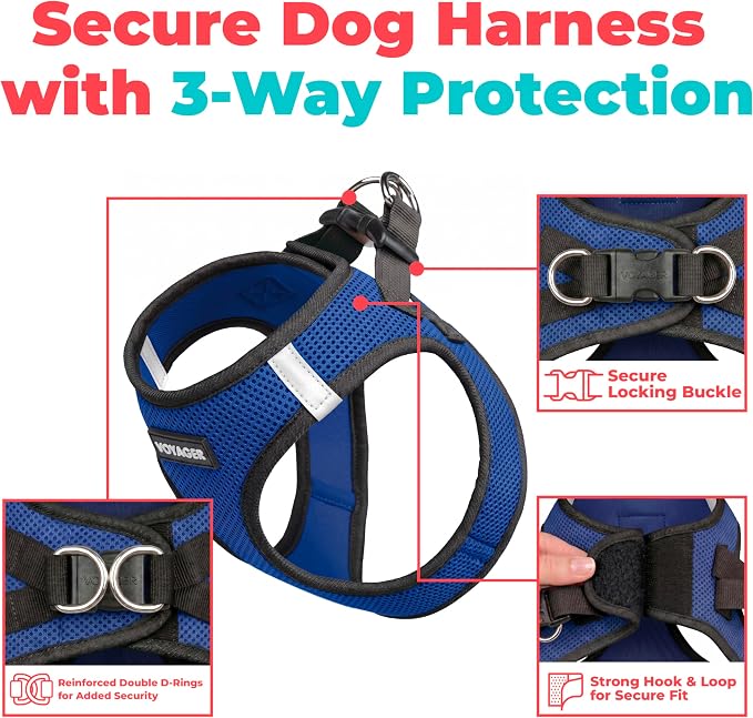 Voyager Step-in Air Dog Vest Harness - Royal Blue/Black Trim, Large | 18- 20.5" in Chest, Reflective Bands, All Weather Breathable Air Mesh, Cats Compatible, Lightweight, Fast Drying - Image 2
