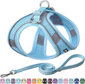 AIITLE Dog Harness and Leash Set, Step-in Puppy Pet Vest, Pure Blue M | Breathable Mesh, Adjustable Fit, Reflective Design, Padded Leash Handle, for Small-Medium Dogs & Cats, Walking, Training by AIITLE-FORPETSBETTERLIFE