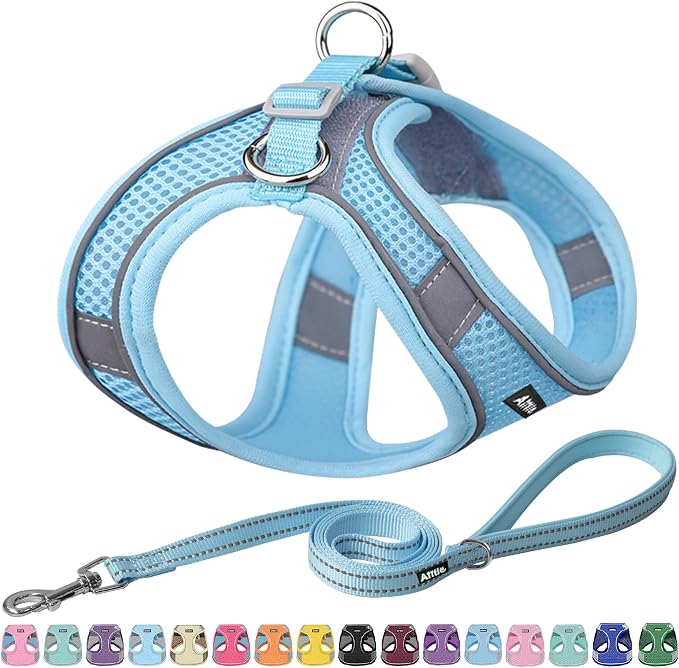 AIITLE Dog Harness and Leash Set, Step-in Puppy Pet Vest, Pure Blue M | Breathable Mesh, Adjustable Fit, Reflective Design, Padded Leash Handle, for Small-Medium Dogs & Cats, Walking, Training by AIITLE-FORPETSBETTERLIFE