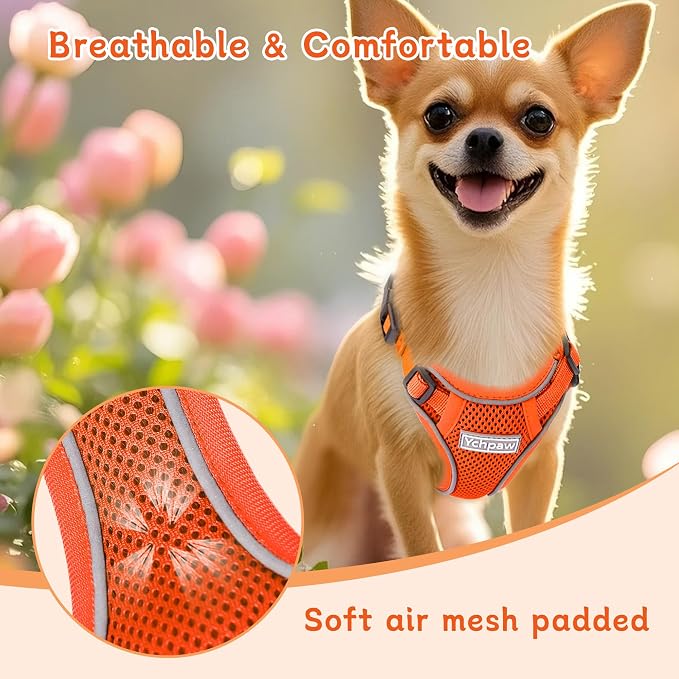 Small Dog Harness and Leash Set, Adjustable Small Sized Pet Vest | Reflective Soft Breathable Mesh, 3 Buckles, Adjustable Neck and Chest, Easy on and Comfortable Secure Walking, Orange, S - Image 5