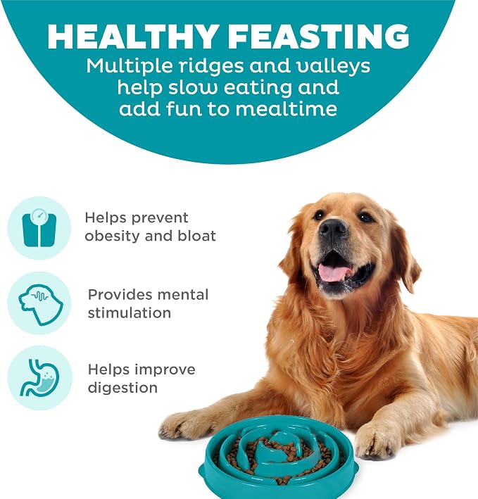 Outward Hound Fun Feeder Slo Bowl – Large 4‑Cup Capacity, Slow Feeding, Medium to Large Dogs, Non‑Slip, Turquoise, Drop Pattern | Slows Fast Eaters, Can Aid Digestion, Holds 4 Cups Dry or Wet Food, Non-Slip Base, Easy Clean, No BPA, Medium to Large Dogs - Image 2
