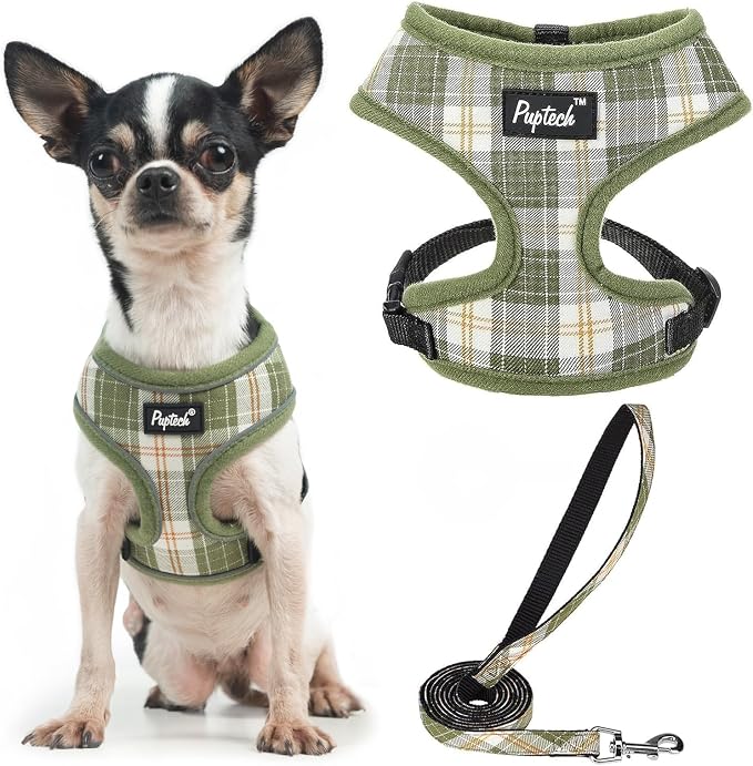 PUPTECK Small Dog Harness and Leash Set No Pull for XS XXS Sized Dogs Puppy | Escape Proof No Choke Pet Cat Adjustable Soft Padded Walking Vest by PUPTECK