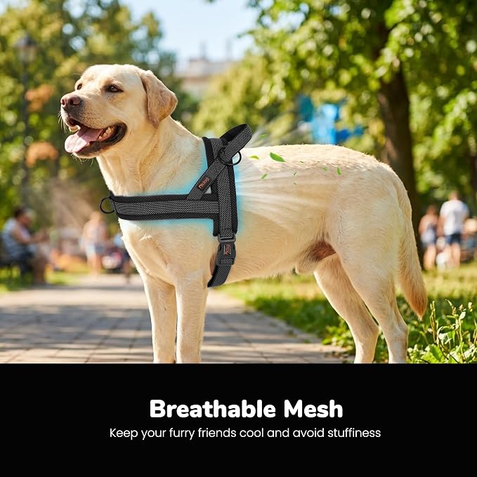 No Pull Dog Harness for Large Dogs, Breathable Mesh Padded, Black, L | Quick Fit, Easy On and Off, Adjustable, Reflective Vest Harness for Night Safty, Easy for Walking and Training, Chest 26-32" - Image 2