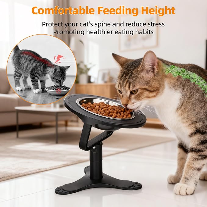 Raised Cat Bowls,15° Tilted Cat Food Bowls (1 Pack) | Elevated Cat Bowls for Indoor Cats with Height-Adjustable Stand,Non-Slip Stainless Steel Cat Bowls - Image 2