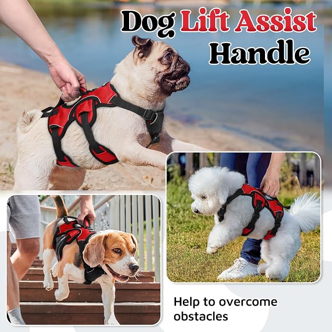rabbitgoo Escape Proof Dog Harness for Small, No Pull with Lift Handle | No Escape, Full Soft Padded, Reflective Adjustable Vest, Leash Clip for Walking Hiking Training, Red, Small - Image 3