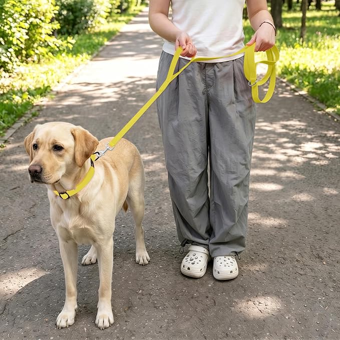 Waterproof Dog Leash with Double Handle, 6 FT Durable Odor-Proof Dog Leashes with Strong Aviation Aluminum Hooks Fits Small Medium or Large Dogs - Image 5