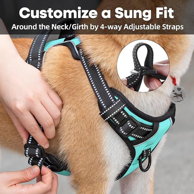 PoyPet No Pull Dog Harness Large, Reflective Vest with Front Clip & Handle | Easy On/Off, No Choke, Adjustable, 2 Leash D-rings, Soft Padded, Breathable, Oxford, for Walking Training, L, Mint Blue - Image 5
