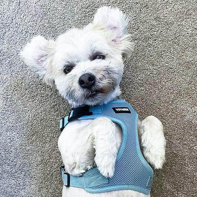 Voyager Step-in Lock Dog Harness - Baby Blue, X-Small | 13 - 16" in Chest, Adjustable, Breathable Air Mesh, Lightweight for Daily Walks, Strong Clips, Heavy Duty D-Ring - Image 8