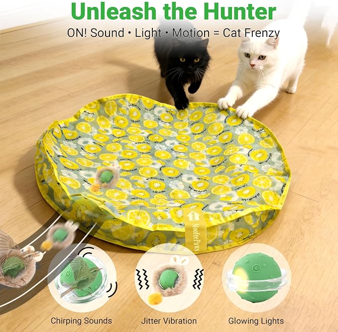 Cat Toys for Indoor Cats, Interactive Cat Toy for Adult Cats | Hide and Seek Play Mat for Bored Kittens, Automatic Rolling Ball with Real Bird Chirping, Motion Activated Rechargeable - Image 4