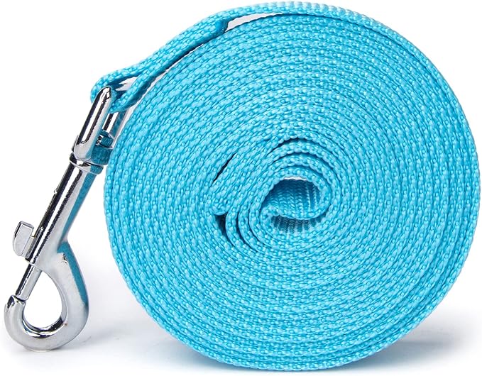 Strong Durable Nylon Dog Training Leash, 1 Inch Wide Traction Rope, 6 ft Long, for Small and Medium Dog (Mint Blue, 6 Feet) - Image 7