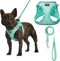 AMTOR Small Dog Harness with Leash Set, No Escape Easy Walk Puppy Harnesses for Training Walking, Step-in Reflective Soft Dogs Vest for XS S Medium Extra-Small Large Sized Dog(Green,XL) by AMTOR