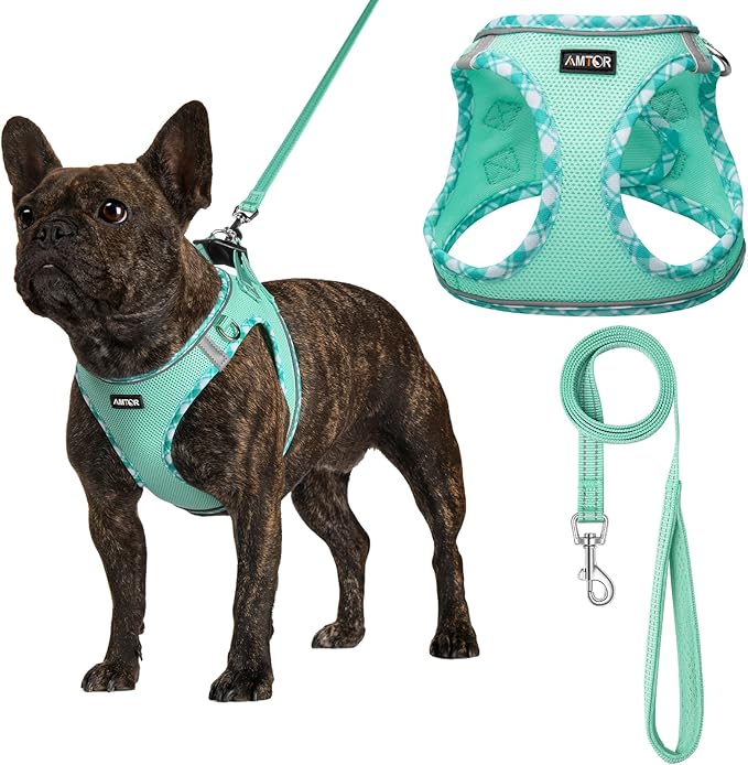 AMTOR Small Dog Harness with Leash Set, No Escape Easy Walk Puppy Harnesses for Training Walking, Step-in Reflective Soft Dogs Vest for XS S Medium Extra-Small Large Sized Dog(Green,XL) by AMTOR