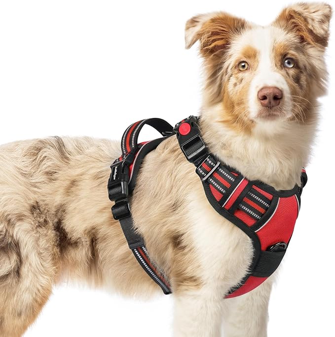 rabbitgoo Dog Harness Medium Sized, Updated Easy On & Off with 3 Buckles | No Pull No Choke, Walking with 2 Clips and Handle, Adjustable Soft Reflective, Red, Medium by rabbitgoo
