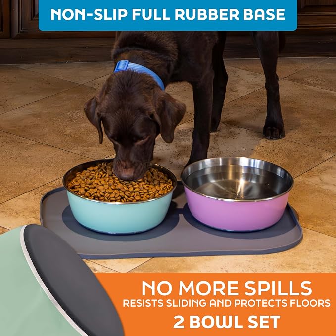 Master Pet Supply Stainless Steel Dog Bowls Set of 2 - Pistachio, 128 Oz | Non-Slip Rubber Base, Basic Dog Food Bowl Water & Food Bowls for Small, Medium, Large Dogs & Cats Metal Dish - Image 4