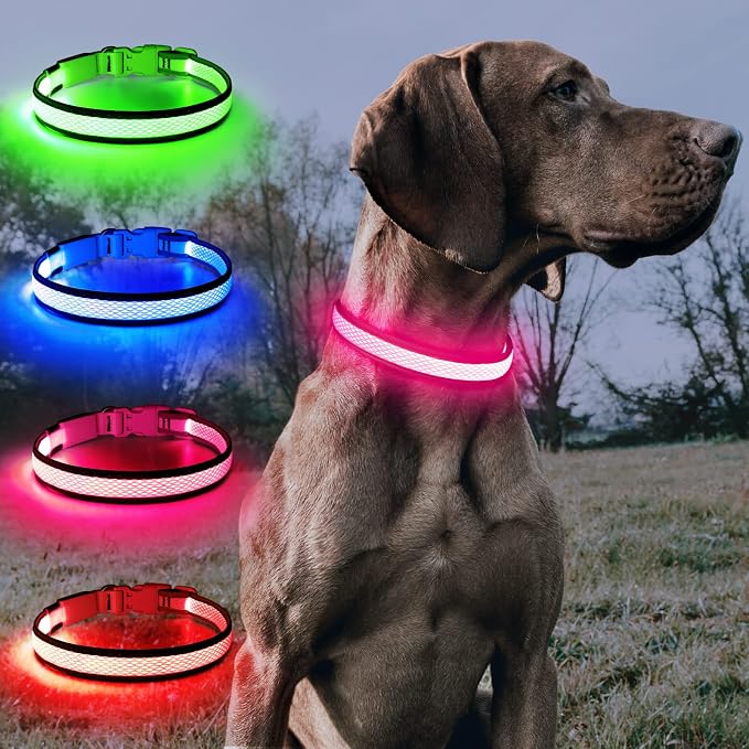 BSEEN Light Up Dog Collars - Reflective LED Dog Collar, Adjustable Puppy Collar, Rechargeable Dog Camping Gear Dog Collar Light for Small Medium Large Dogs (Large, Pink) - Image 5