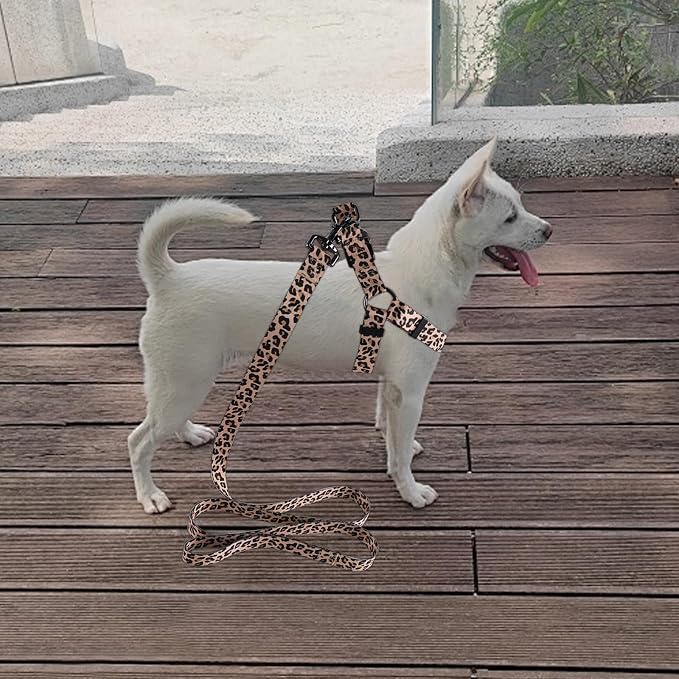 Dog Harness Leash Set Adjustable Heavy Duty No Pull Halter Harnesses for Small Medium Large Breed Dogs Back Clip Anti-Twist Perfect for Walking - Image 6