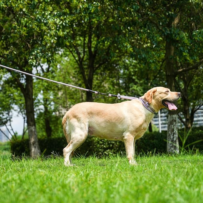 Rope Dog Leash, 4 ft Heavy Duty Dog Leash with Aviation Aluminum Auto Locking Carabiner, Strong Nylon Pet Lead for Small, Medium, Large Dogs (Black, 4FT) - Image 7