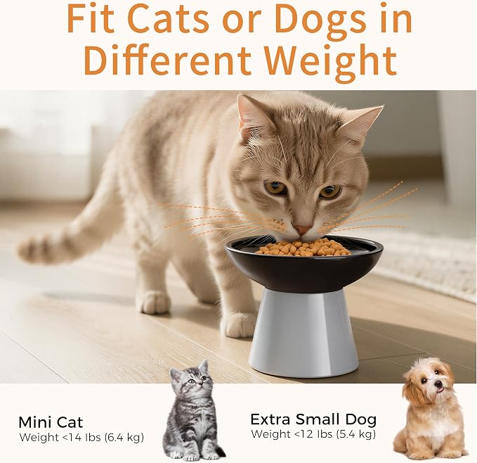 LoeJan Ceramic Cat Bowls, Elevated Cat Food and Water Bowls Set, Extra Wide and Raised Ceramic Bowls, Anti-Vomit Whisker-Free Pressure Cat Feeder for Kittens to Adult Cats - Image 6